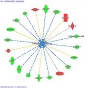 mw_Affy Inflammatory response