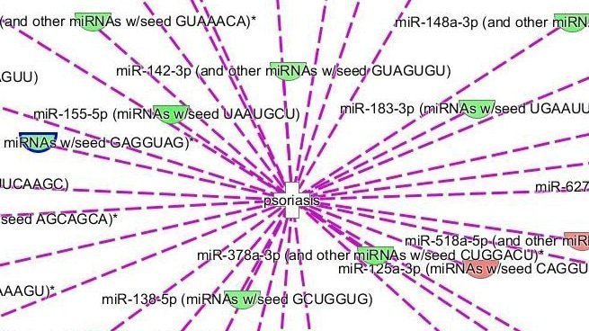 miRNA expression analysis - microarray and RT-qPCR