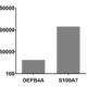 Cytokine-induced DEFB4A and S100A7 gene expression