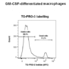 TO-PRO-3 labelling - M1-M2 macrophages viability
