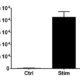EPIBACT-0017_bacterial adhesion P.acnes qPCR#Stim