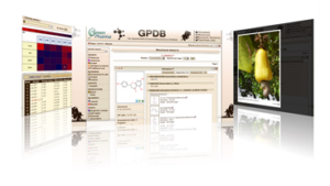 GPDB: Chemical Compound Structure Database