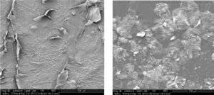 Cornéocytes endommagés et sains - SEMX500