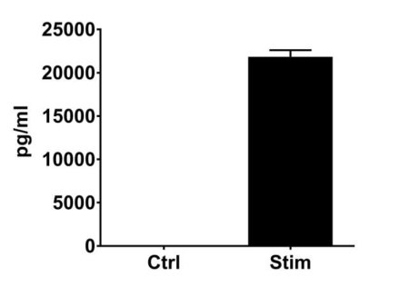 CD4TL-0002_IFN-gamma release#Stim