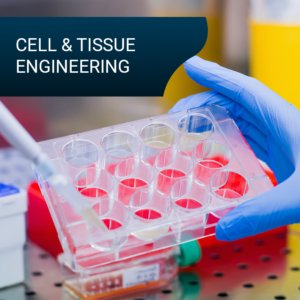 cell and tissue engineering / ingénierie cellulaire et tissulaire