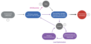 The drug discovery cycle is an incredibly costly and complex process that involves multiple rounds of assays and tests. The path from a large collection of potentially efficacious compounds to selecting one or more preclinical candidates involves several steps.