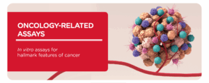 In vitro assays for hallmark features of cancer