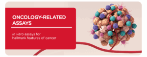 In vitro assays for hallmark features of cancer