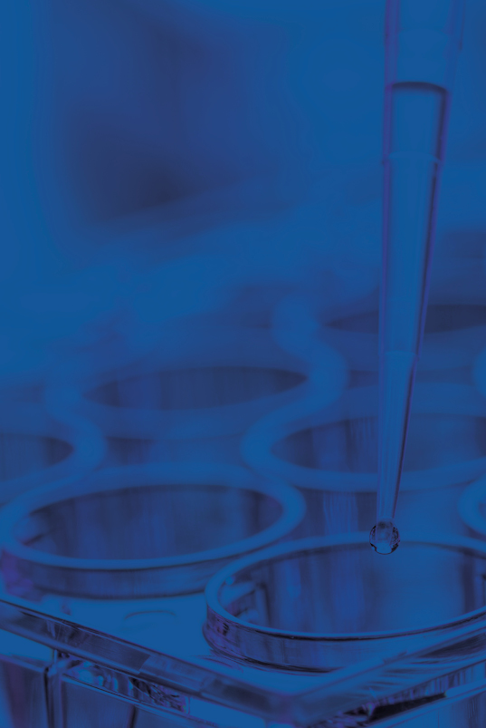 In vitro pharmacology for preclinical research - QIMA Life Sciences