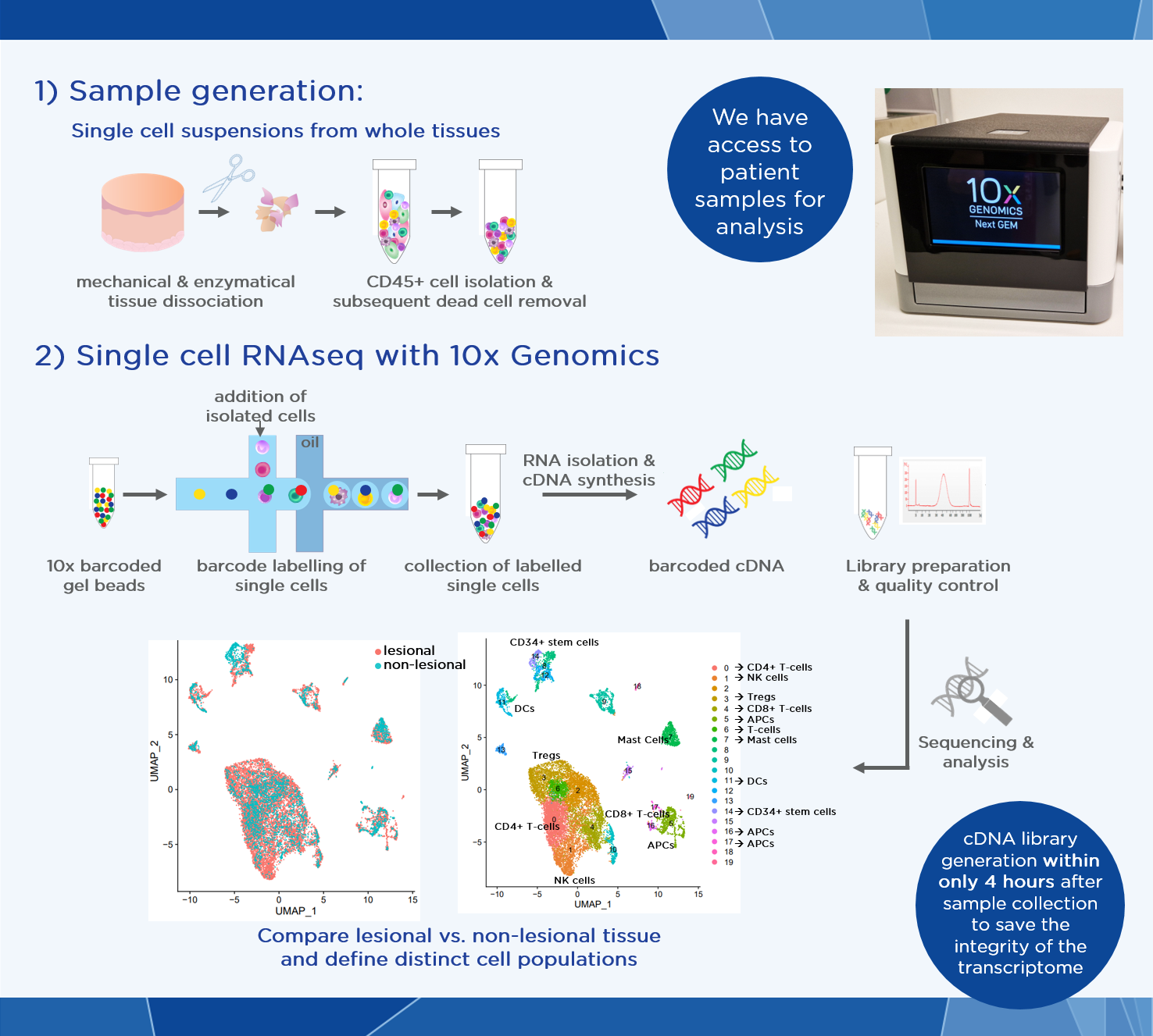 Single cell RNAseq procedure