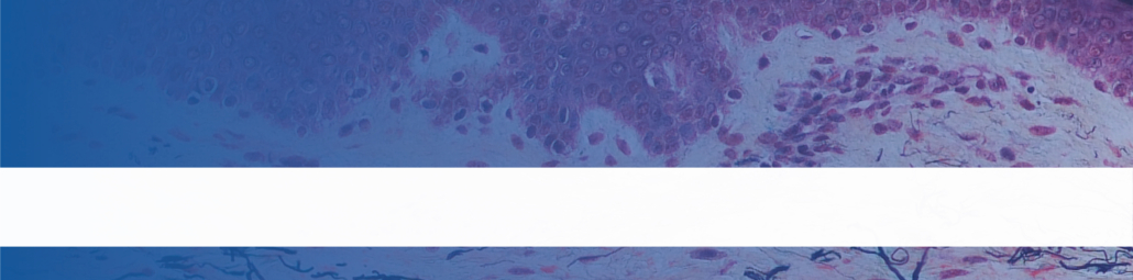 3D in vitro models & assays - QIMA Life Sciences