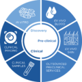 Preclinical research CRO, in vitro bioassays - QIMA Life Sciences