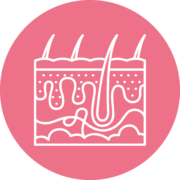 Cosmetics_Ex vivo