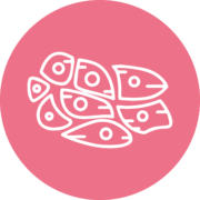 Cosmetics_In vitro