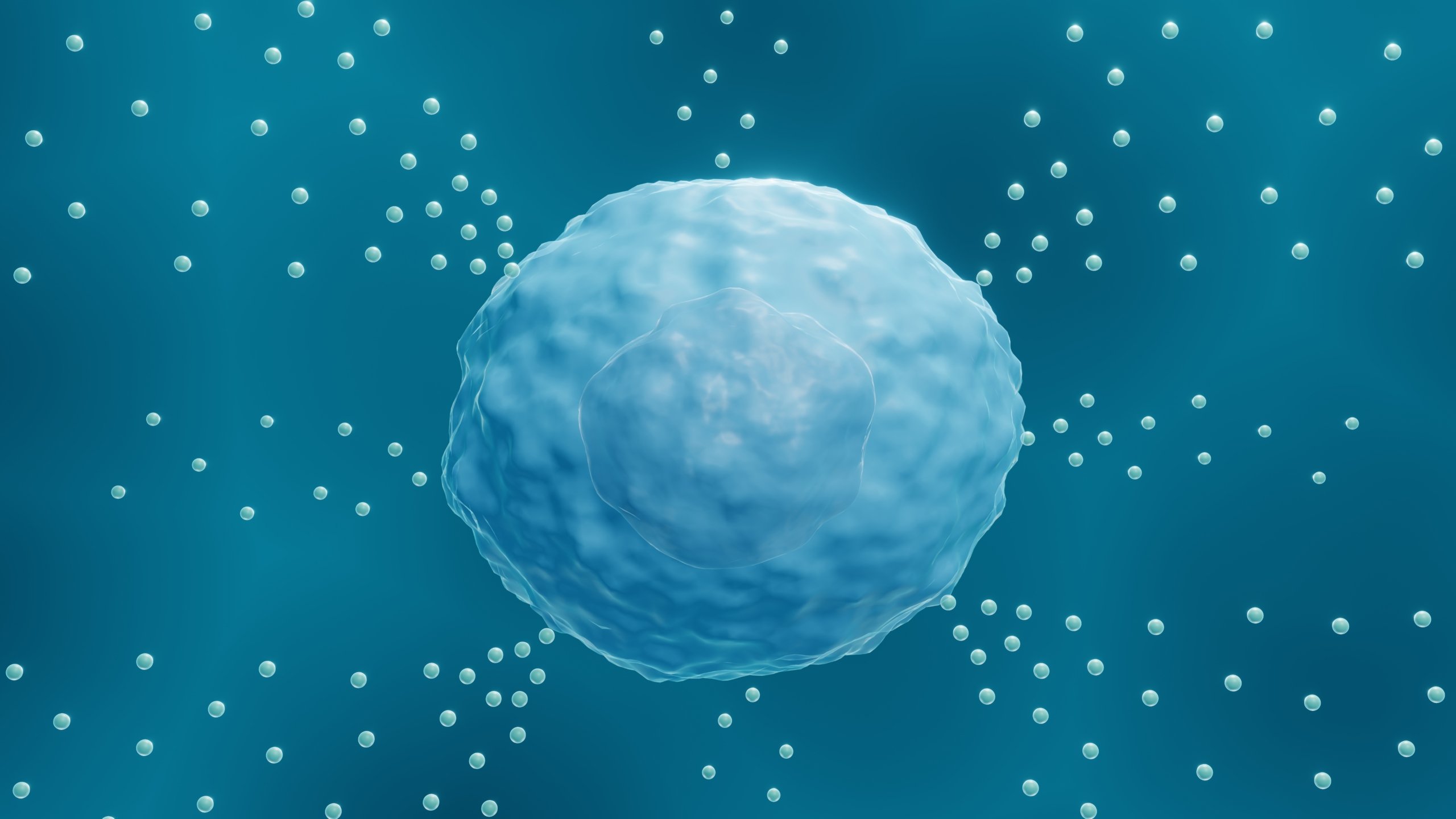 Human mast cells in vitro model | QIMA Life Sciences