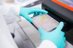 Scientific puts microplate into microplate spectrophotometer to analyze multiple samples.