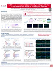 pemphigoid diseases poster