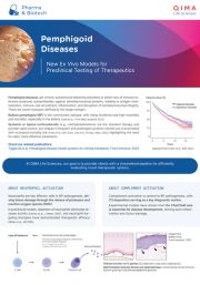 pemphigoid diseases flyer
