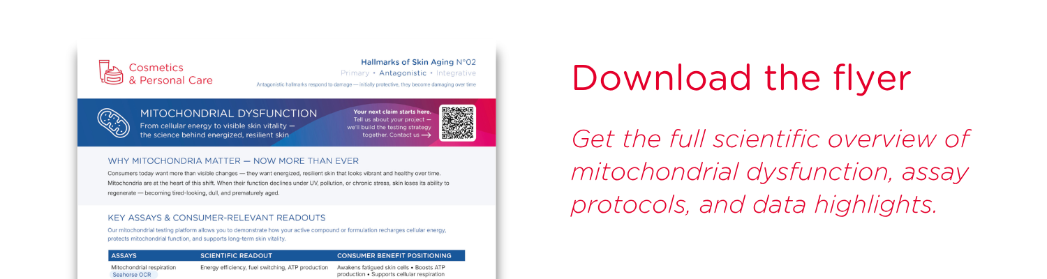 Download_Mitochondrial-Dysfunction-flyer mitrochondrial dysfunction flyer miniature